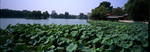 huihai01