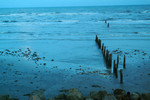 beach15