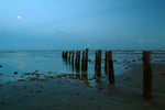 beach16