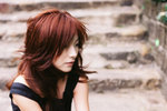 1038-08b