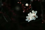 DSCF0041