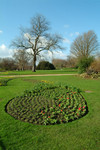 Hydepark02-net