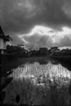 farm01-bw