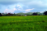farm05