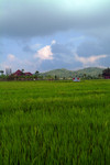 farm6