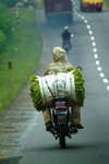 road01