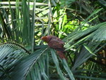 IMG_0668