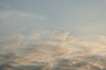 �Ӥ� 246