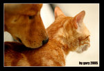 IMG_8172psweb