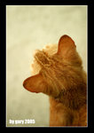 IMG_8184psweb