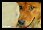 IMG_8185psweb
