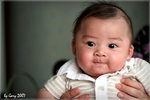 IMG_0041psefrz