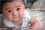 IMG_0057psefrz