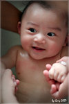IMG_0088psefrz