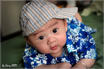 IMG_0228psefrz