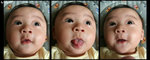 combined closeup - rz