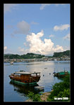 IMG_8903ps_crop_frameweb
