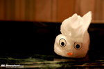 IMG_3647psrz