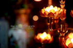 IMG_3790psefrz