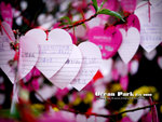 P1010989psefrz