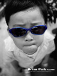 P1020047psefrz