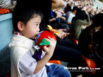 P1020094psefrz