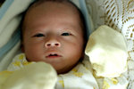 IMG_0717psweb