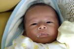 IMG_0720psweb