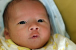 IMG_0727psweb
