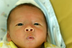 IMG_0731psweb