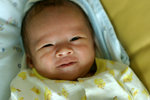 IMG_0734psweb