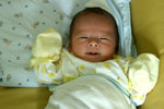IMG_0741psweb