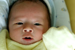 IMG_0743psweb