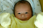 IMG_0762psweb