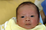 IMG_0778psweb