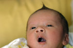 IMG_0798psweb