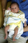 IMG_0817psweb