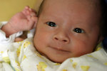IMG_0827psweb