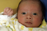 IMG_0833psweb