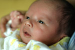 IMG_0836psweb