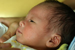 IMG_0847psweb