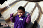 IMG_6211psefrz