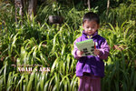 IMG_6247psefrz
