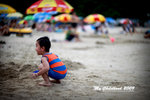 IMG_8643psefrz