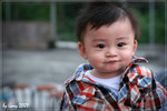 IMG_2770psefrz