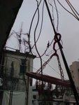 DSC00137