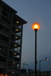 DSC_8429