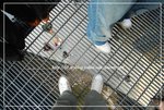 DSC_1996