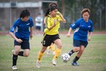 _DSC8747