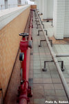 img0006